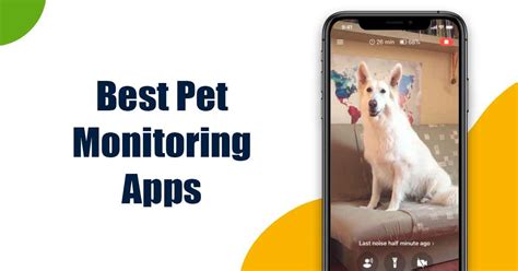 best pet monitor app