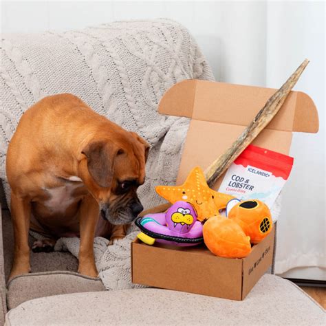 Best Pet Subscription Boxes Canada