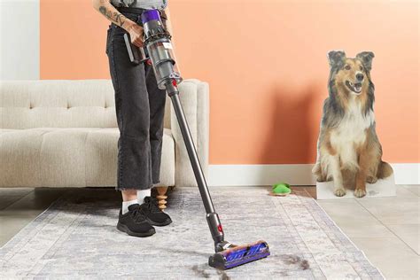 best pet vacuum