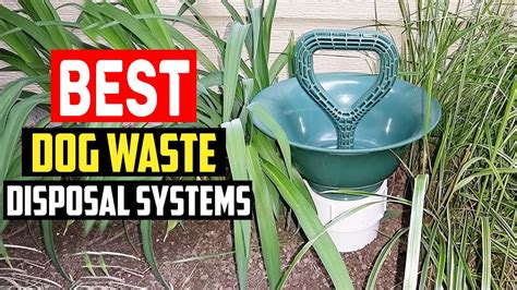 Best Pet Waste Disposal