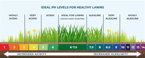 best ph level for grass