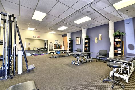 best physical therapy clinics in michigan