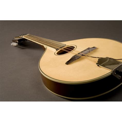best pickup for acoustic mandolin
