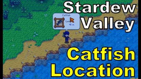 best place to catch catfish stardew valley