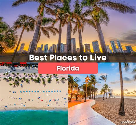 Best Place To Live In Ne Florida