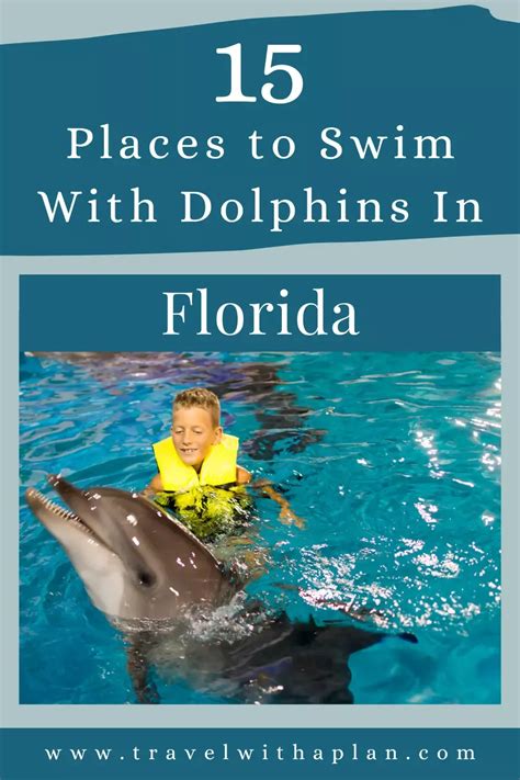 best place to swim with dolphins in florida