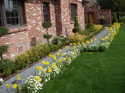 Best Plants For Winter Flower Beds