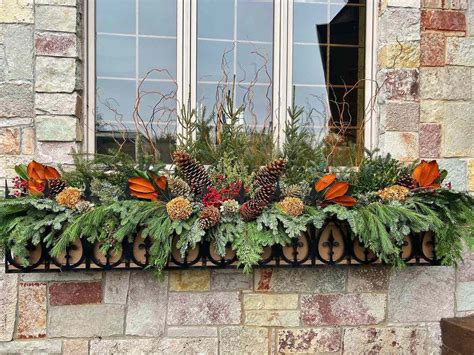 Best Plants For Winter Window Boxes