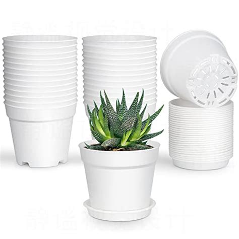 Best Plastic Pots