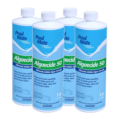 Best Pool Algae Prevention