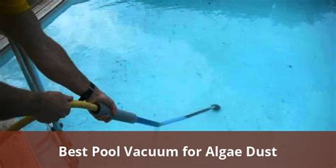 best pool vacuum algae