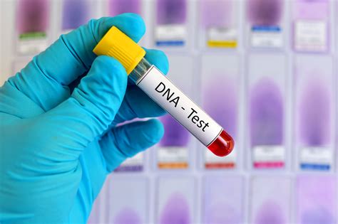 best price dna testing