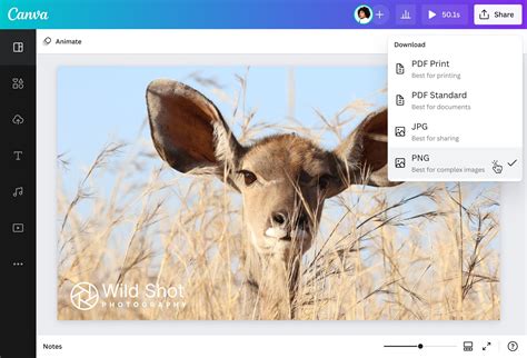 Best Program Edit Out Watermark Printable