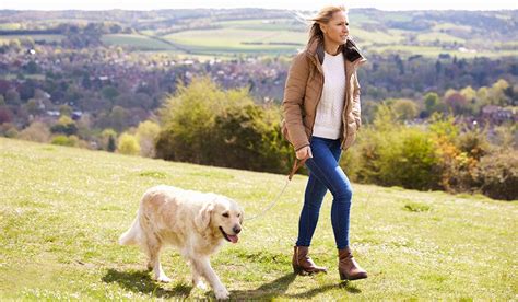 best quiet dog walks near me