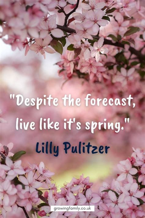 Best Quotes About Spring