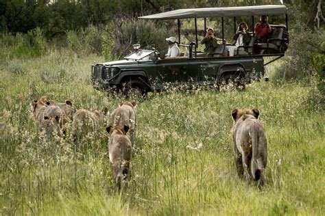 best rated african safari tour companies