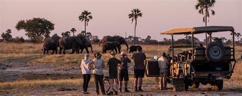 best rated african safari tours