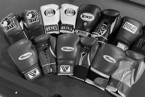 Best Rated Boxing Gloves