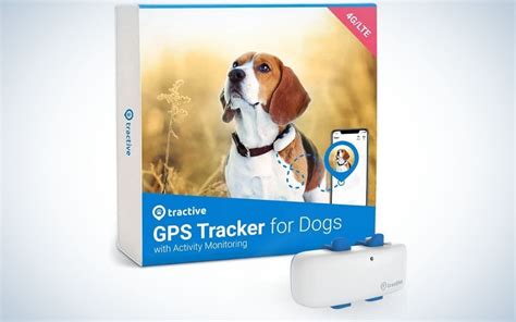 Best Rated Pet Tracker