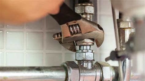 best rated plumbers riverview fl