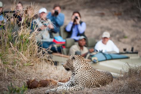 best rated south african safaris