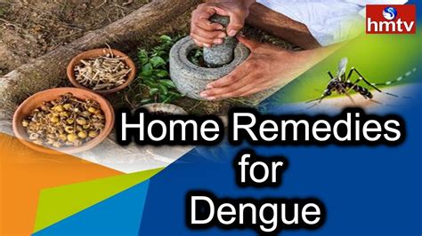 best remedy for dengue fever