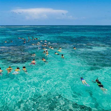 best resorts to snorkel in punta cana