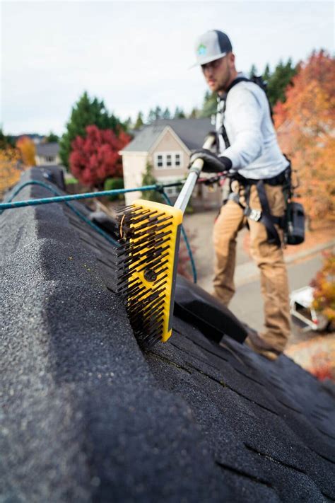 best roof moss removal company