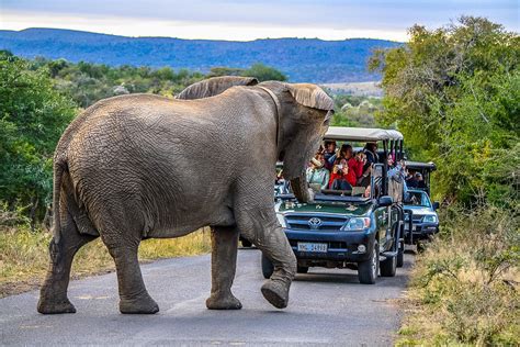best safari game reserve in south africa