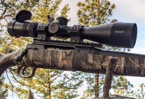 best scope for a 22-250