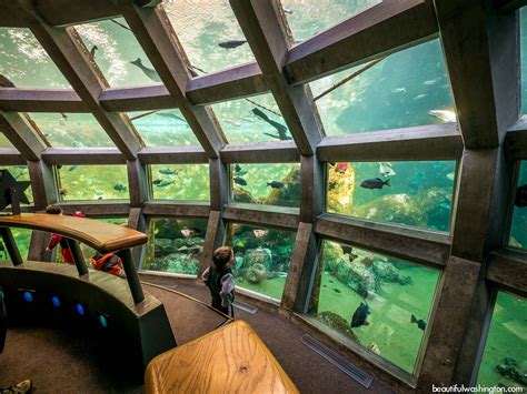 best seattle washington aquarium