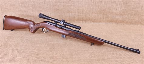 Best Semi Automatic 22