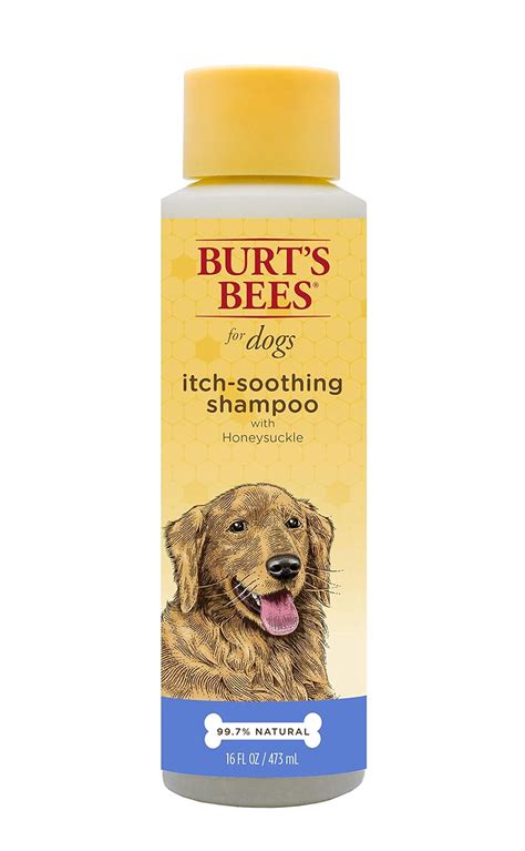 best shampoo for dogs with itchy skin