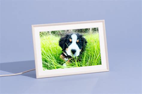 Best Simple Digital Photo Frames