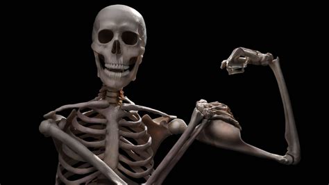 best skeleton meme templates and tools