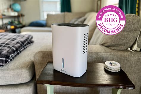Best Small Compact Dehumidifier