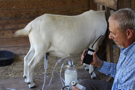 best small farm goat milking machine