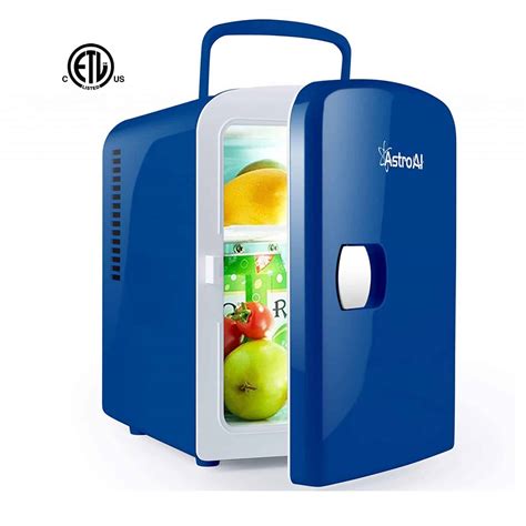 Best Small Portable Fridges