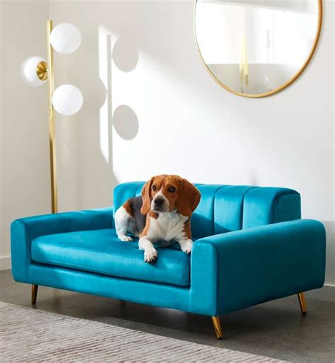 Best Sofas When You Have A Dog