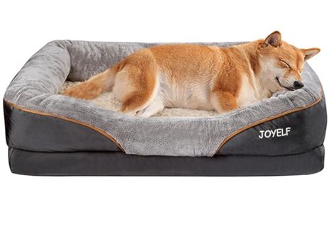Best Solid Memory Foam Dog Bed