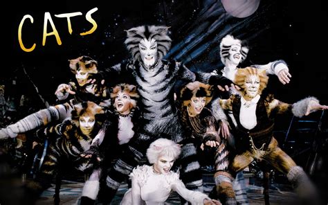best songs from cats musical