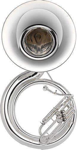 Best Sousaphone Mic