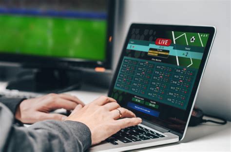 best sports betting software reviews