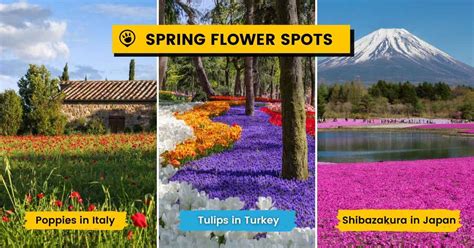 Best Spring Flower Destinations