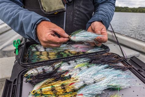 Best Spring Pike Flies
