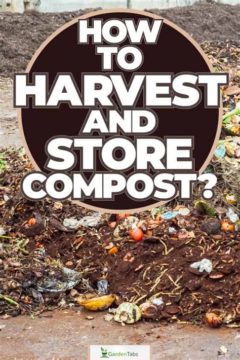 Best Store Compost