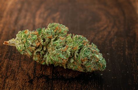 best strain for euphoria and anxiety