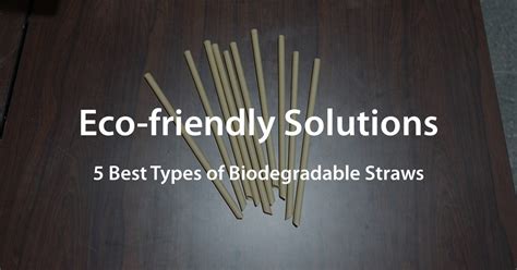 Best Straws For Environment
