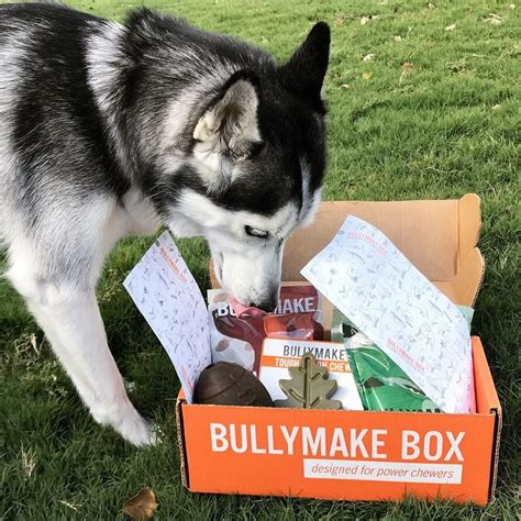 Best Subscription Boxes For Large Dogs