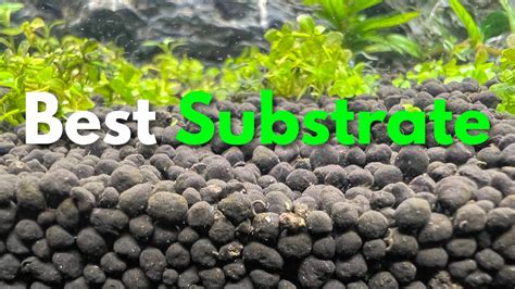 Best Substrate For Aquascaping